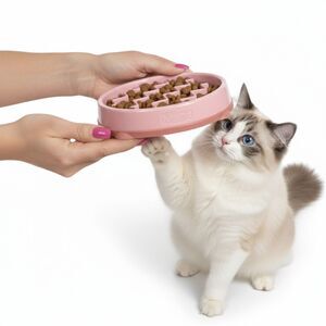 Outward Hound Slo Bowl SMALL Pink Cat Slow Feeder Puzzle Bowl Ragdoll
